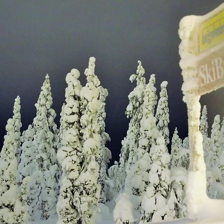 Vuossel Ruka