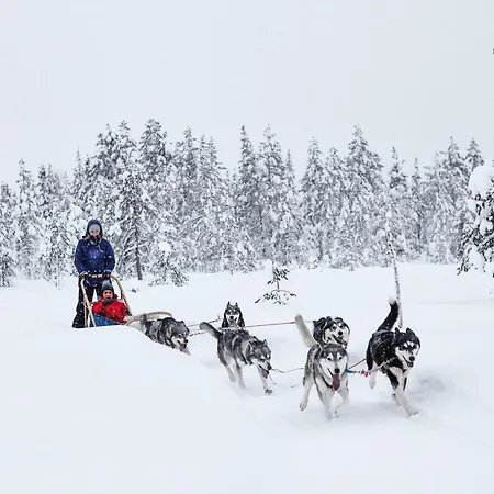 Vuossel Σπίτι διακοπών *