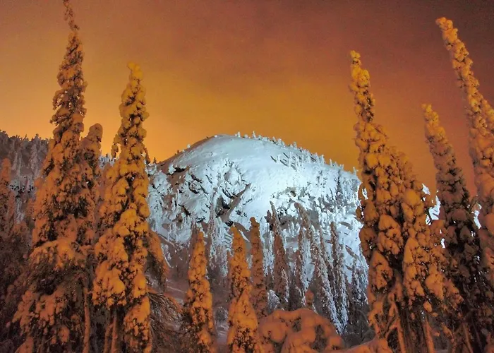 Σπίτι διακοπών Vuossel *