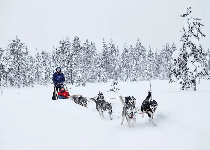 Vuossel Σπίτι διακοπών *
