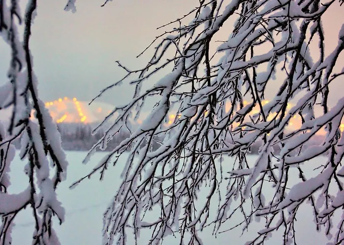 Vuossel Σπίτι διακοπών *