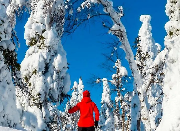 Vuossel Σπίτι διακοπών *